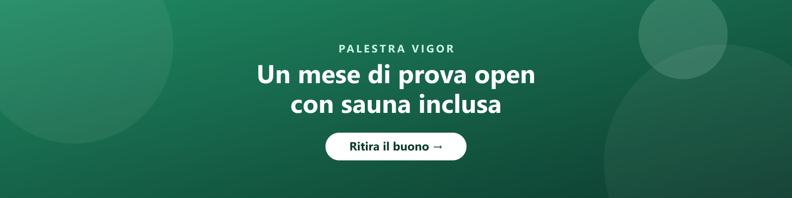 Palestra Vigor — mese di prova -40%